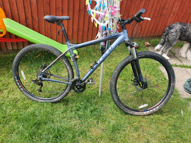 carrera headset bearings